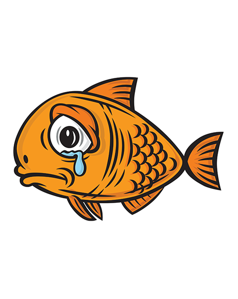SOO Crying Fish Smaller
