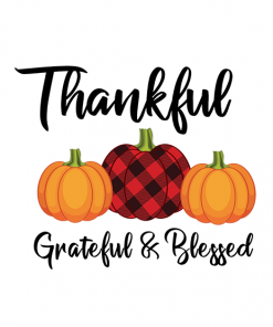 Thankful Grateful Blessed