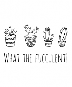 What The Fucculent