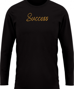 Success2 - Image 3