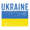 Ukraine Flag Distressed